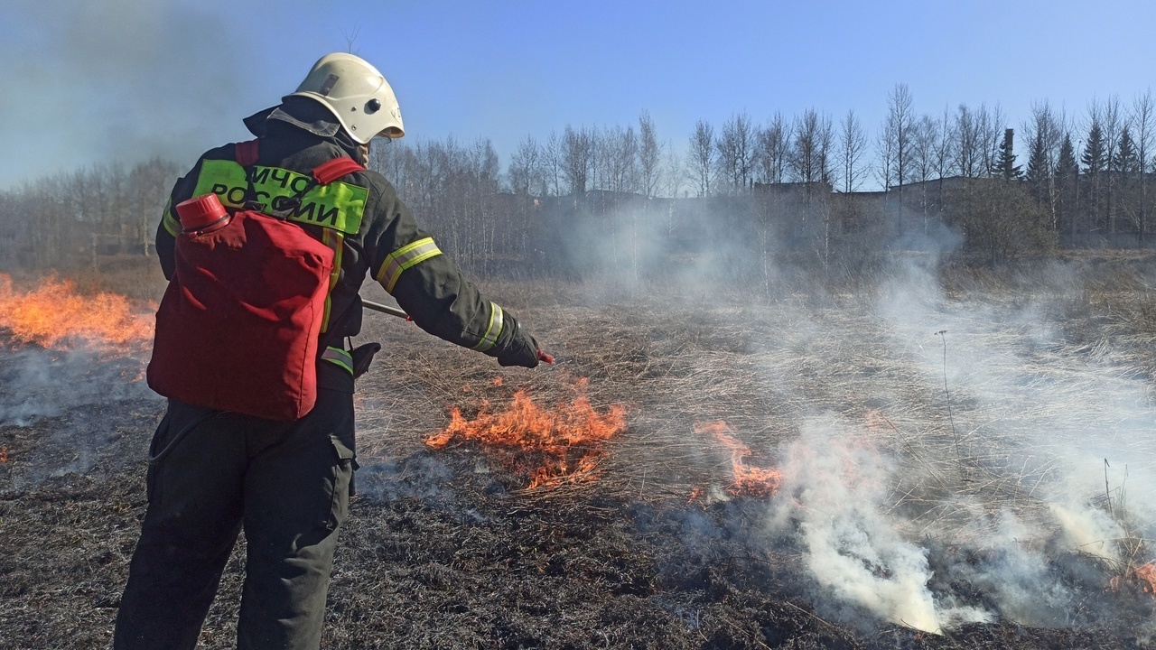 В вологодской столице произошёл крупный пал сухой травы | 22.04.2022 |  Вологда - БезФормата